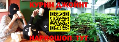 шишки Вязьма