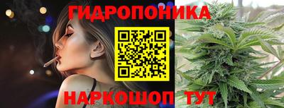шишки Вязьма