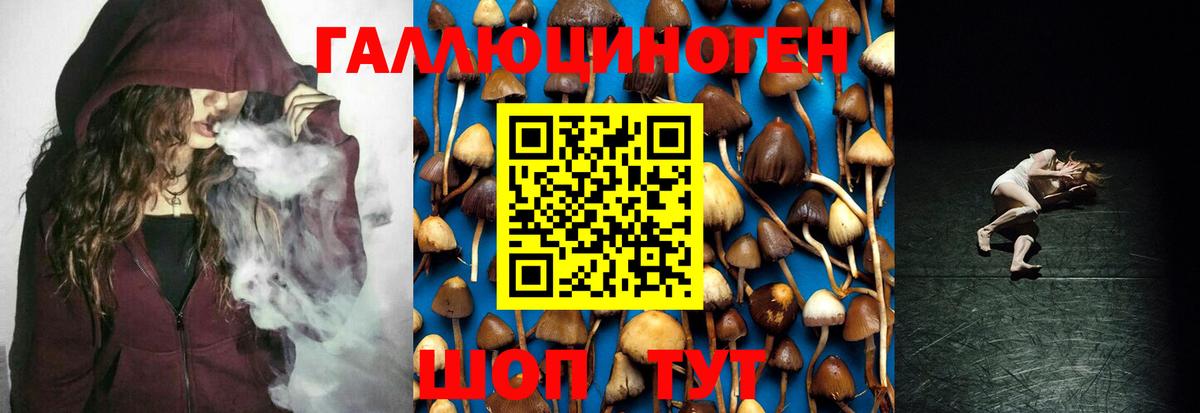 Псилоцибиновые грибы мицелий  Вход с VPN  Новороссийск 